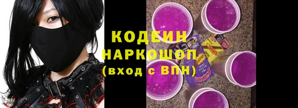 гашик Алзамай