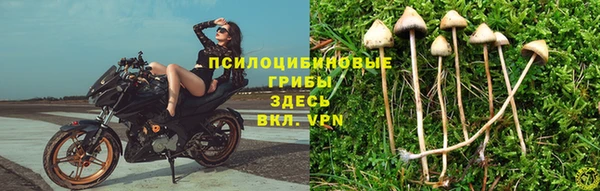 спиды Абдулино