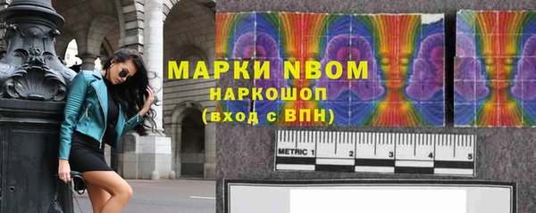прущие грибы Медногорск