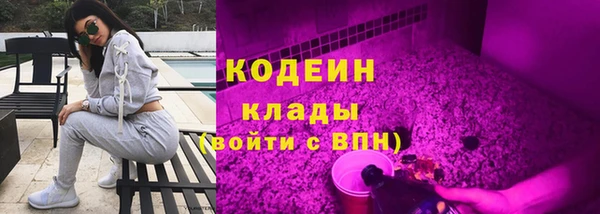 прущие грибы Медногорск