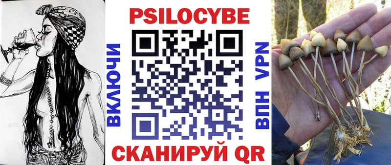 Галлюциногенные грибы Psilocybe  Сарапул 